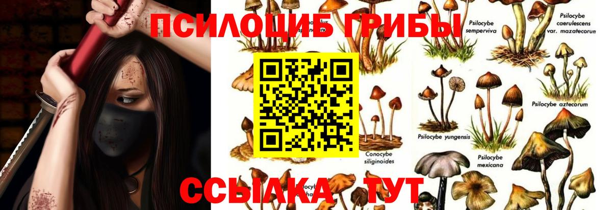 закладки  Галлюциногенные грибы Cubensis  Вход с VPN  Галлюциногенные грибы Magic Shrooms  Ульяновск 